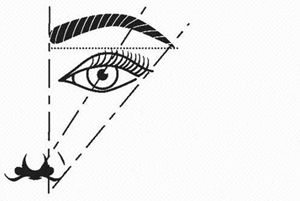 纹眉